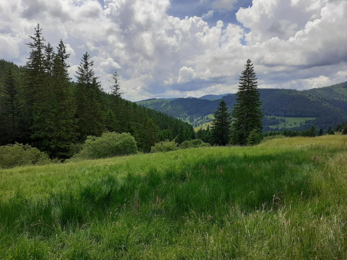 Sonnenstrahl Todtmoos Exterior foto