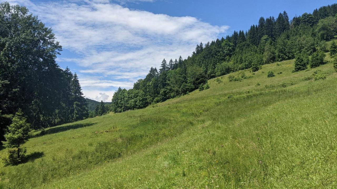 Sonnenstrahl Todtmoos Exterior foto